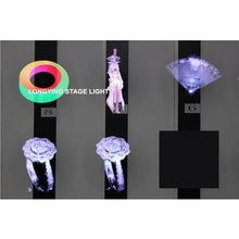 Big Fan 60CM LED 3D Fan Player Hologram Projector Led Portable Holographic Display