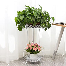 2 TiersFlower Pot Tray Floor Plant Stand for Indoor Balcony Garden Flower Pot Shelf (Color : OneColor, Size (Onecolor