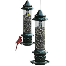 Brome,Squirrel Buster Plus 6"x6"x28" (w/Hanger) Wild Bird Feeder with Cardinal Ring and 6 Feeding Ports, 5.1lb Seed Capacity, 2 Pack