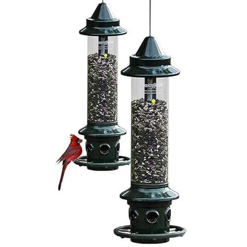 Brome,Squirrel Buster Plus 6"x6"x28" (w/Hanger) Wild Bird Feeder with Cardinal Ring and 6 Feeding Ports, 5.1lb Seed Capacity, 2 Pack