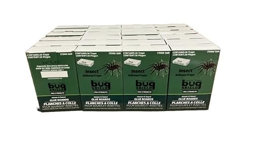 Bug Shield Sticky Glue Traps 36 Glue Boards, Bulk Pack 24 Boxes / 864 Bug Traps. All Types of Incets, Spiders, Cockroaches, Ants, Cave Crickets, and More.Professional Strength Glue.