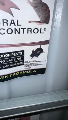 Natural Armor Indoor Pest Control, 275 Gallon Tote