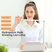 BTURYT Full System of Hydroponic Culture, Plants Lights, Water Level Indicator, Adjustable Height, Interior Cultivation Kit, Gardening, Hydroponic Succulents