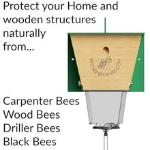 Ultimate Pro Outdoor Carpenter Bee Trap by Best Bee Brothers, Green 12-Pack