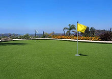 Petgrow Pro Putting Green Golf Artificial Grass Turf 3FTX82FT Custom Width-3FT