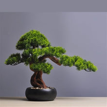 HCZKIUJ Bonsai Simulation Beauty Pine with Black Pot Arrangement Home Living Room Potted Plants Desktop Plant