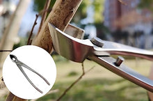Bonsai tool Set Kit Stainless Steel Bonsai Scissors Knob Cutter Jin Pliers Trunk Splitter Garden Pruning Styling Tools