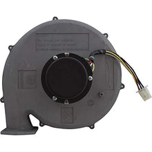 Pentair Blower Kit, MasterTemp 300, NAT.