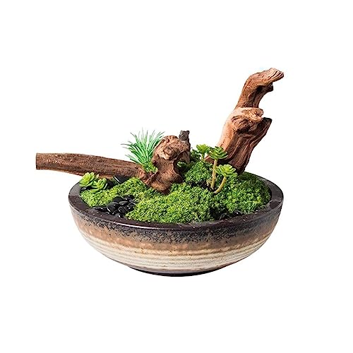 Artificial Bonsai Tree Simulazione Cinese Piante Verdi Di Muschio Decorazioni in Vaso Per Interni Soggiorno Studio Decorazioni Per Ufficio Office Decoration Bonsai