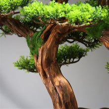 YXIANG56Q Fake Plants Simulation Bonsai Fake Green Plants Potted Plants Office Study Decorative Ornaments Hotel High-Grade Furnishings Bonsai Tree