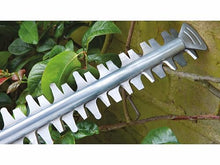 Bosch Home and Garden Hedge Trimmer - AdvancedHedgeCut 65 (500 W, Blade Length: 65 cm, for Large Hedges, Cutting Capacity: 34 mm, in Cardboard) 06008C0801 Green