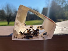 Bug Shield Sticky Glue Traps 12 Pack Glue Boards, Bulk Pack 50 Boxes / 600 Bug Traps. All Types of Incets, Spiders, Cockroaches, Ants, Cave Crickets, and More.Professional Strength Glue.