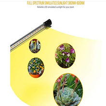 LED Grow Light Full Spectrum Flexible Timing Dimmable Clip Phyto Lamp 4 Heads Grow Lamp Foldable Plant Growth lamp 4 Pole Full Spectrum Clip Plant lamp can be timed.