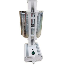POWER ESSENCE 1000 Watt 347V DE Double Ended Grow Light Fixture with Bulb,Master Controller Funtion