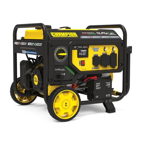 Champion 4750-Watt Electric Start Dual Fuel Portable Generator, CARB