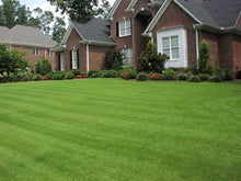 Zenith Zoysia Grass Seed (6 Lb.) 100% Pure Seed