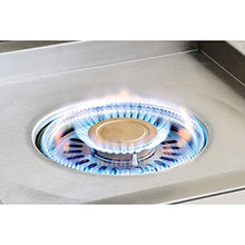 Alfresco Versapower Cooker (AXEVP-NG), Natural Gas, 24-Inch