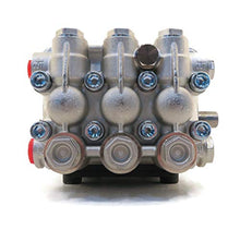 AR ANNOVI REVERBERI RG2125HN AR North America Water Pump, Black