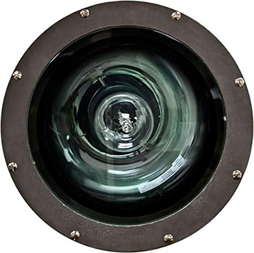Dabmar Lighting FG4330 Fiberglass 150W Hps 120V Light Fixture, Bronze Finish