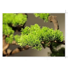 Fake Bonsai Tree Artificial Bonsai Welcoming Pine Landscape Green Plants Home Bonsai Pine Tree Decorations Artificial Bonsai Tree (Color : B)