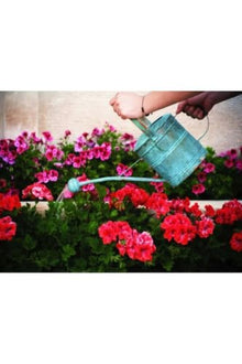 Handmade Copper Watering Can, Gardener Model, Green Oxide Finish, 7.5 in Pot Height, 7.1 in Pot Diameter, Pure Copper, Refined Garden Tool