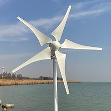 NINILADY New Arrivel Low Noise 600W 12V 24V 48V Wind Turbine 5 Blades with MPPT Controller Wind Generator for Home Free Energy (24v with Controller)