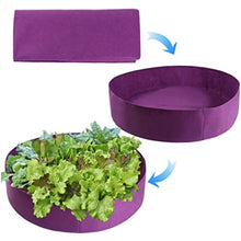 BBYYDS Growing Bags for Household Plants, Gardening Pots, Elevated Plant Beds, for Planting Flowers and Vegetables