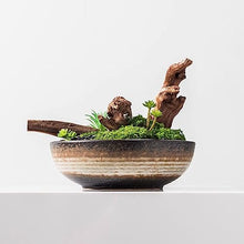 Artificial Bonsai Tree Simulazione Cinese Piante Verdi Di Muschio Decorazioni in Vaso Per Interni Soggiorno Studio Decorazioni Per Ufficio Office Decoration Bonsai