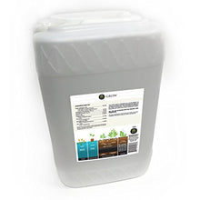 Age Old Grow Natural Based Liquid Fertilizer, 6-Gallon