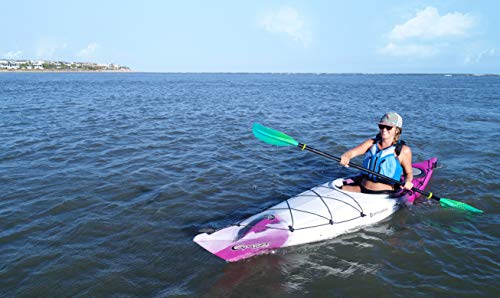 Perception Kayaks Expression 11.5 Sit Inside Kayak Dapper