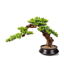 Simulation Welcome Guest Bonsai Ornaments Living Room Hallway Home Soft Ornament Christmas Study Green Plant Resin Gift House Plant (Color : B)