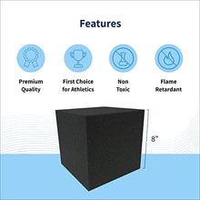 Envirolite Foam Cubes Black