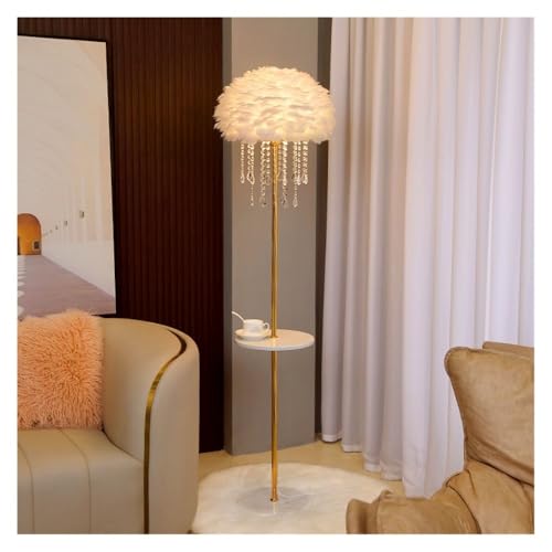 LUYOUBOZHU Floor Lamp Feather Floor Lamp with Side Table, 63" Romantic Lighting for Living Room(White)
