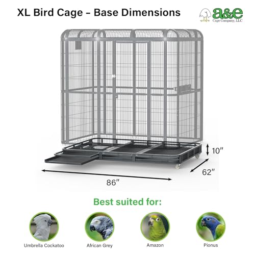 A&E Cage Co Aviary Base for WI6262 Walk-in Cage, 62"x62"x9" Black