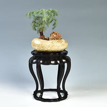Heavy-Duty Potted Plant Standing Supports Base Bracket Ebony Wood Carving Crafts Home Accessories Ornaments Vase Bonsai Base Wood Fish Tank Statue Teapot Base Plant Container Base (Size : 1) ( )