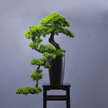 QWERAXZG Simulation Welcome Pine Decoration Villa Living Room Porch Beauty Cliff Cypress Rockery Bonsai
