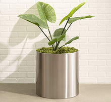 NMN Designs Stainless Steel Metal Planter w/Hardwood Base - Modern Round Indoor Outdoor Pot 18" x 22.5" - Tall Contemporary Cylinder, Architectural Floor/Table Plant Pot, Galvanized, Sphere - Brushed