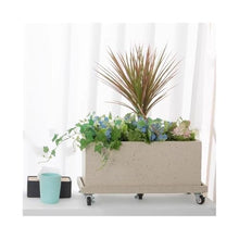 ZHONGCHENGWU Plant Saucers Indoor Outdoor with Wheels Rectangular Plant Pallet, Large Synthetic Resin Saucer Drip Tray(Green,Large)