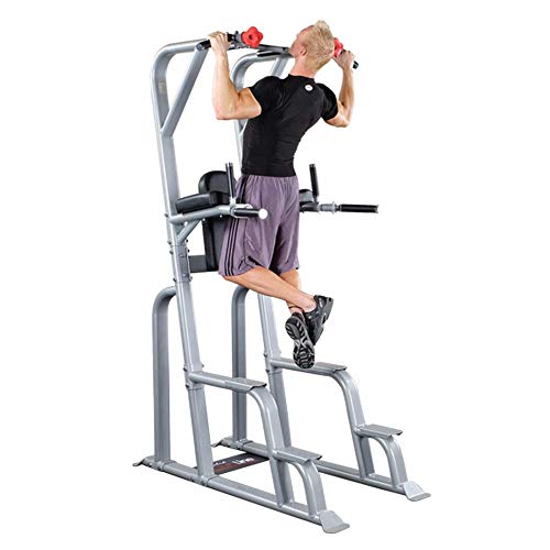 Body-Solid SVKR1000 Pro Clubline Vertical Knee Raise Chin Dip Gray