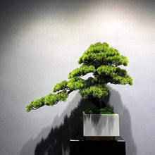 ntumLeap Faux Plants Simulation Welcome Pine Bonsai New Chinese Podocarpus Green Plants Landscaping Living Room Home Porch Decoration Decoration Gifts Artificial Potted Plants