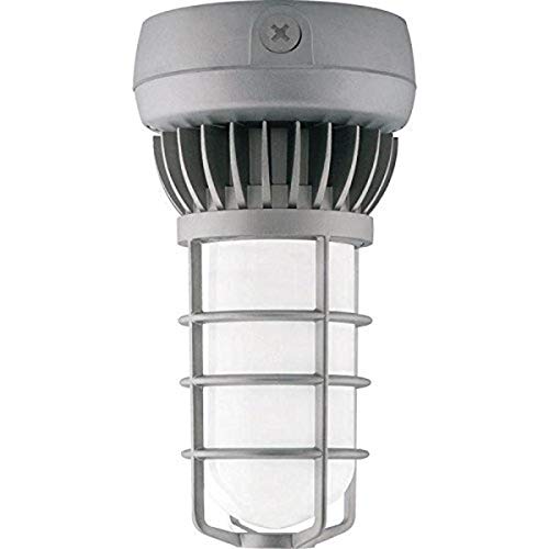 Rab Lighting VXLED26DG VAPORPROOF LED 26W Cool GL Frosted Globe DIECAST GD CEIL