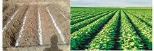 SOIL MOIST SAP Super Absorbent Polymer Garden and Lawn Soil Treatment White