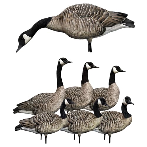 Avian-X AXP Honkers Full Body Realistic Goose Decoy with Sentry Walker Set Multicolor