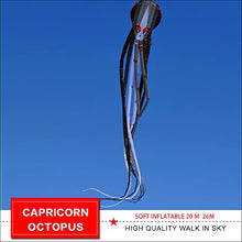TiffyDance Super Large Octopus Kite 26m