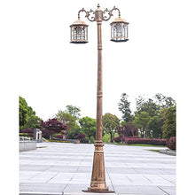 iumLeap 112Inch 2-Head Outdoor Lamp Post Light Apillar Post Light Garden Path Pillar Lamp Ip65 Waterproof Street Light Glass Lantern Courtyard Bollard Path Lamp Pathlighting (Bronze-88inch)