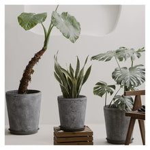 WOAITIANTIAN Flower Pots Straight Slant Round Cement Plant Pot Wide Mouth Home Large Diameter Flower Pots(Medium)