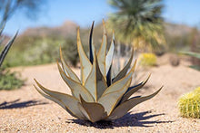 Desert Steel Sharkskin Agave - Large (28" W x 25" H) - Indoor/Outdoor Metal Yard Art & Yard Decor, All Weather