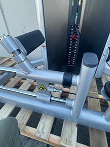 French Fitness FFS Silver Glute Machine