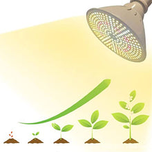 LED Grow Light Plant Bulb Vegetable Flower Cultivo Growing Greenhouse Hydro Sunlight Phyto Lamp Indoor Grow Box (Size : Single Head) (Dual Head)