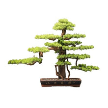 YXIANG56Q Fake Plants Indoor Green Plant Decoration Simulation Tree Living Room Entrance Fake Pine Tree Ornaments Landscaping High-Grade Bonsai Bonsai Tree